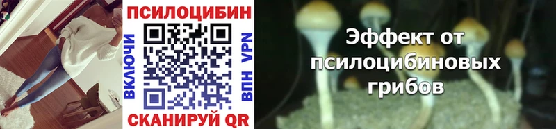 Галлюциногенные грибы Psilocybe  Гуково 